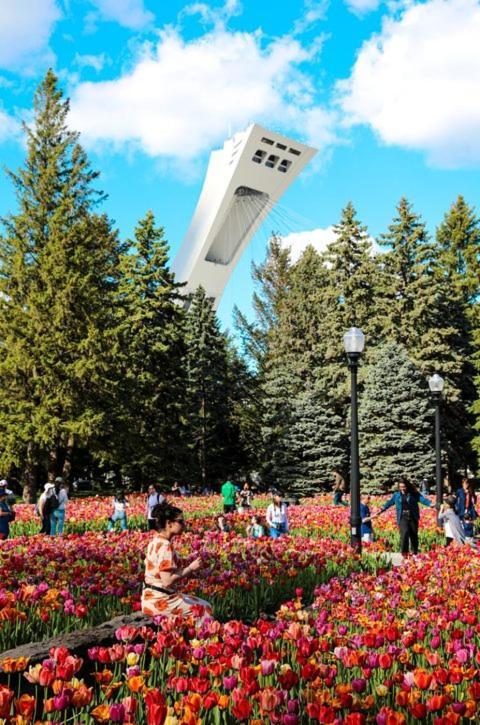 Suite Mont-Royal By Mtlvacationrentals Монреаль Екстер'єр фото